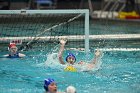 WWPolo vs CC  Wheaton College Women’s Water Polo compete in their sports inaugural match vs Connecticut College. - Photo By: KEITH NORDSTROM : Wheaton, water polo, inaugural